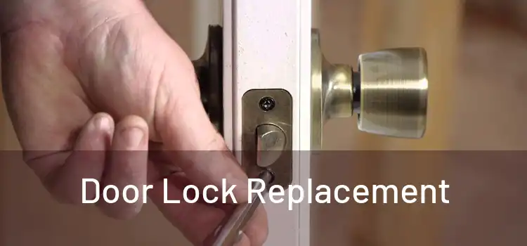  Door Lock Replacement 